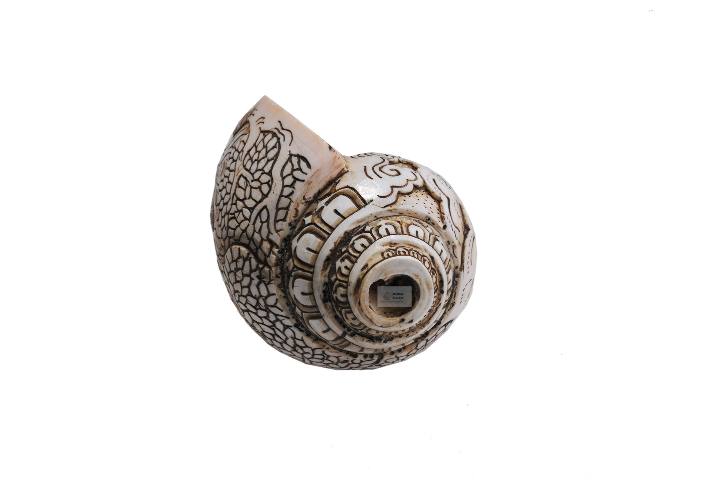 Carved Sankha (Conch Shell)