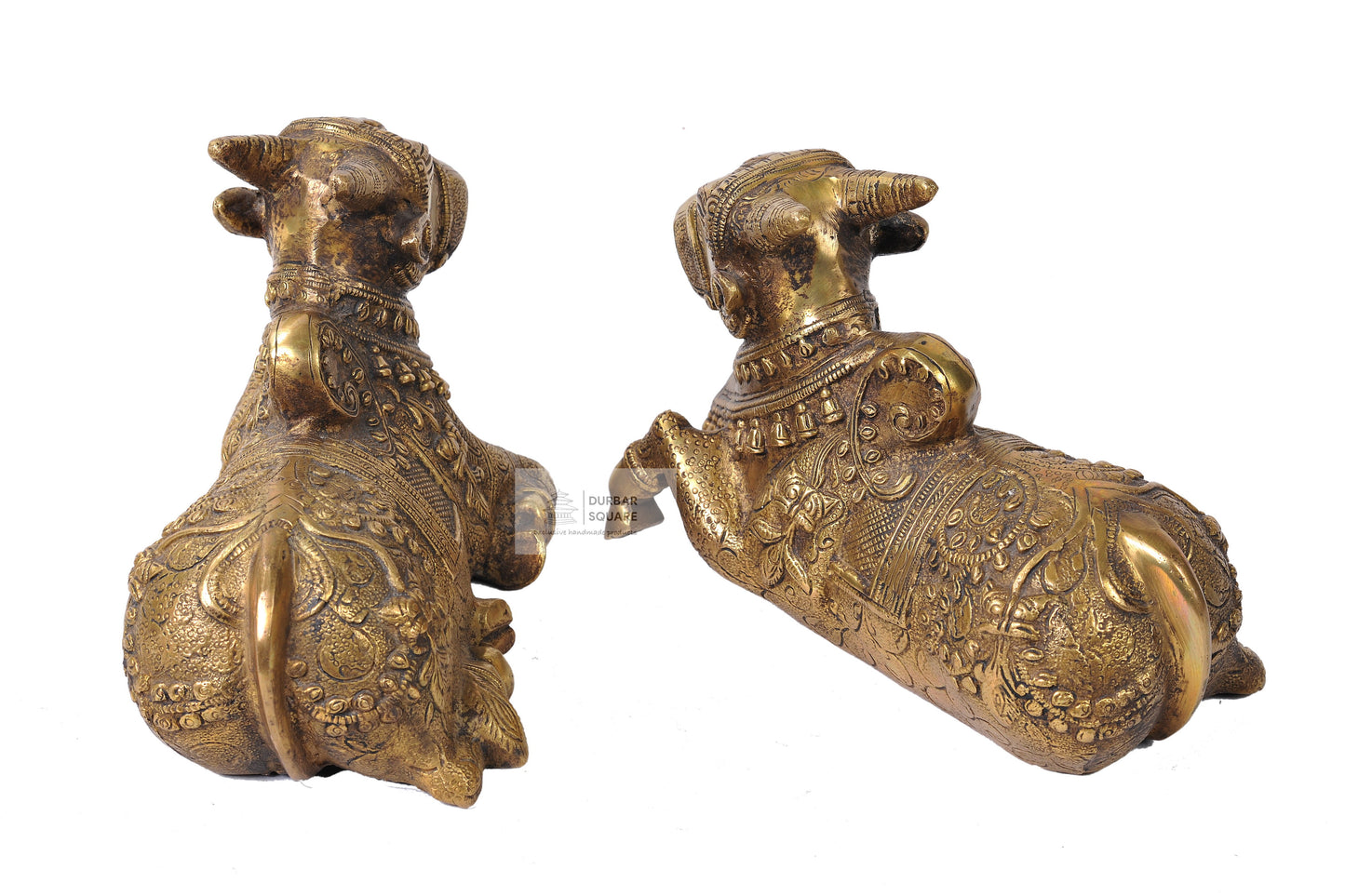 Nandi Kamdhenu Bulls