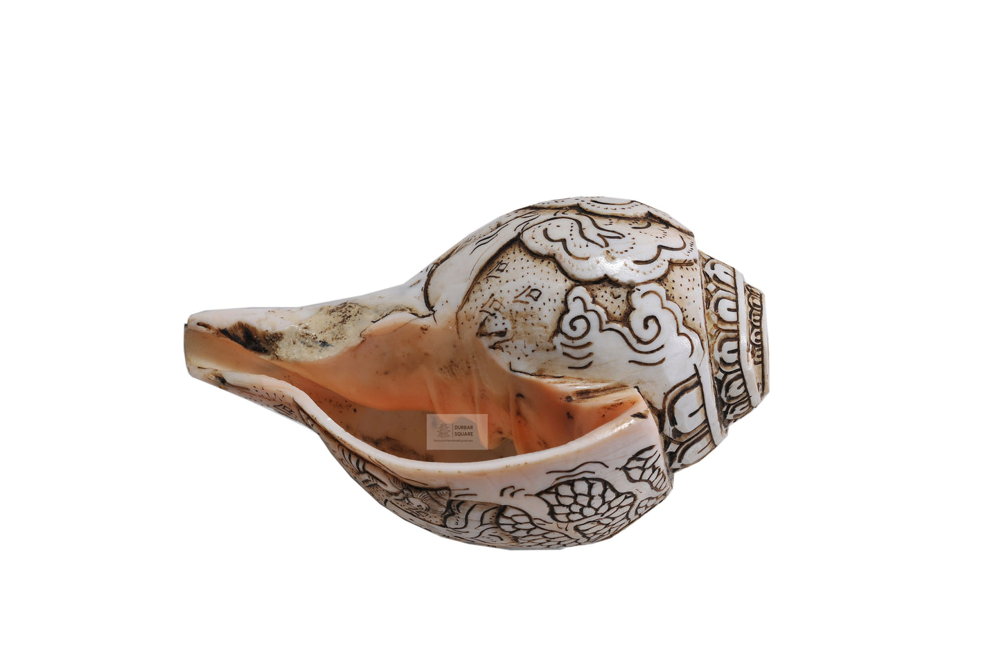 Carved Sankha (Conch Shell)